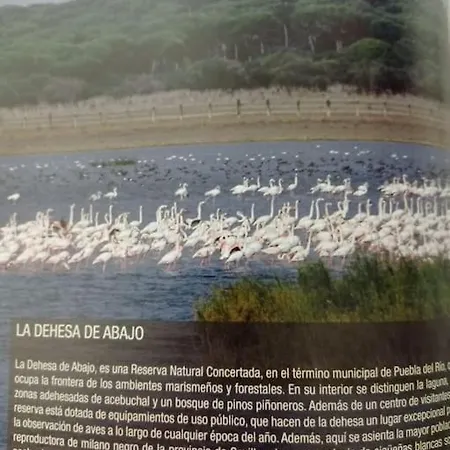 Apartamento Marismas Del Guadalquivir *